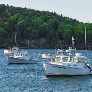 Bar Harbor ME